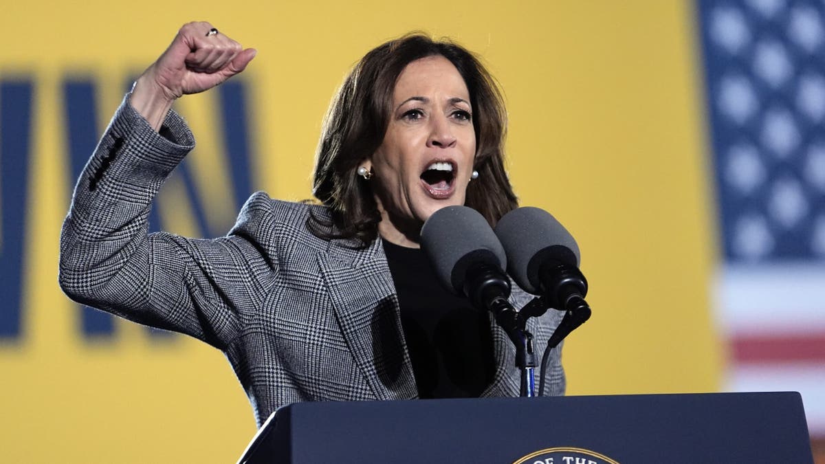 Democratic presidential nominee Vice President Kamala Harris speaks at a campaign event in Burns Park Monday, Oct. 28, 2024, in Ann Arbor, Mich. (AP Photo/Paul Sancya)