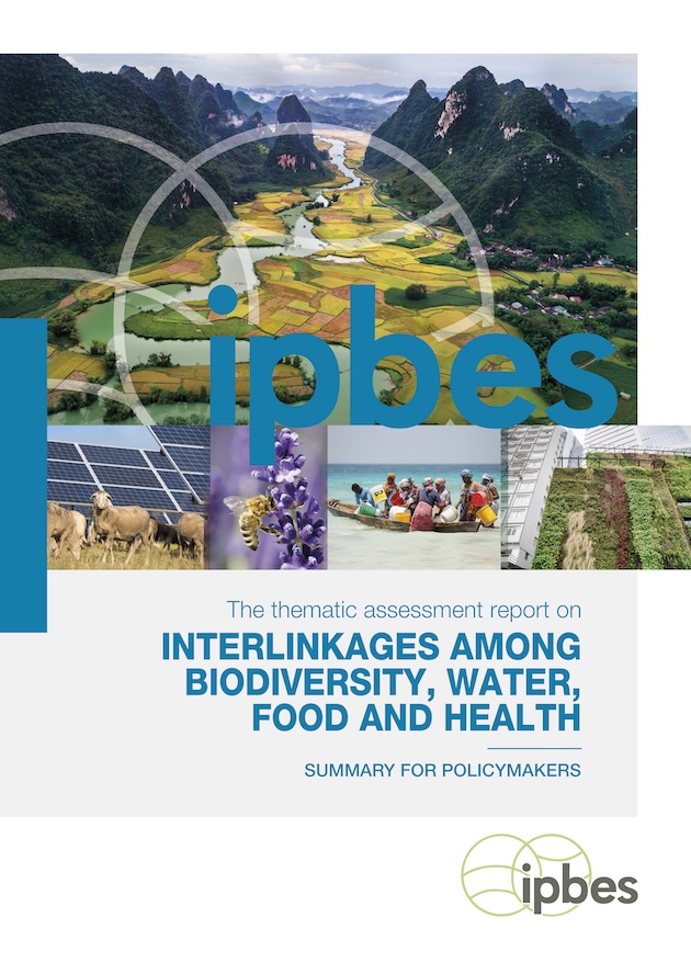 The front cover of the IPBES Nexus assessment report. Credit: IPBES