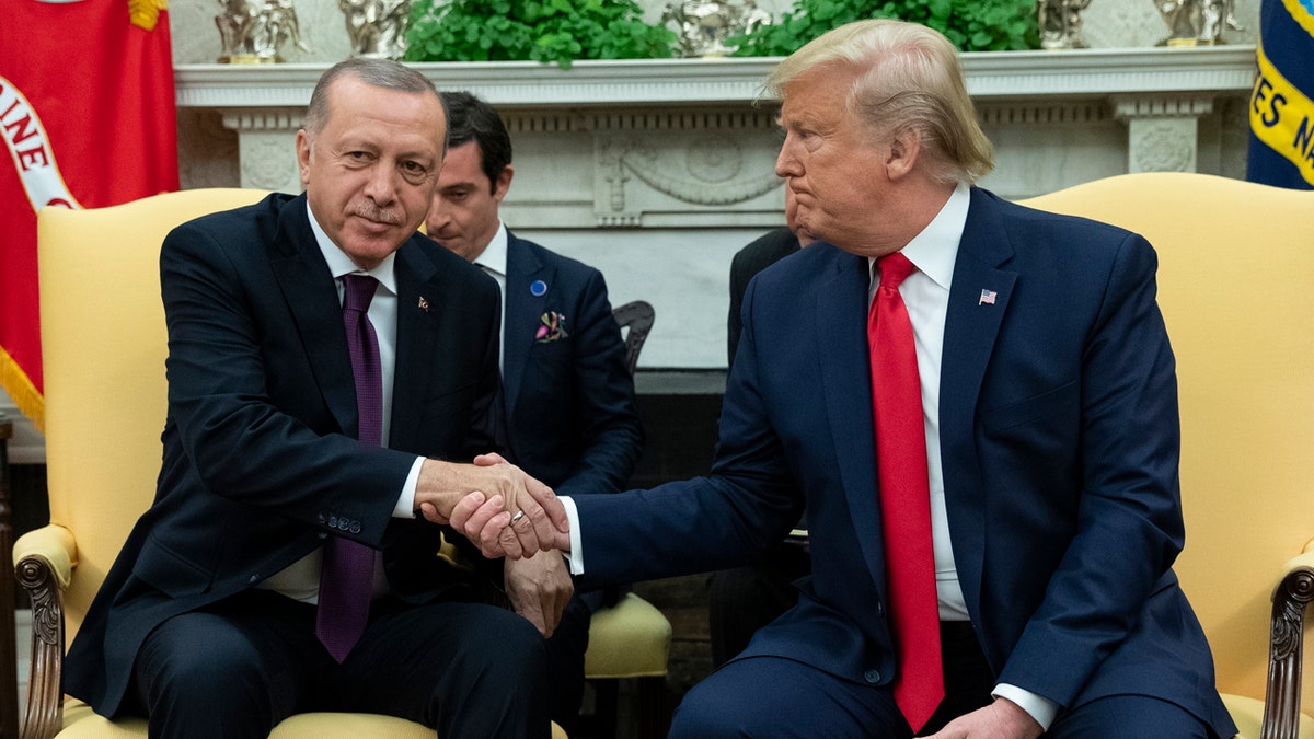 Trump and Erdogan in White House