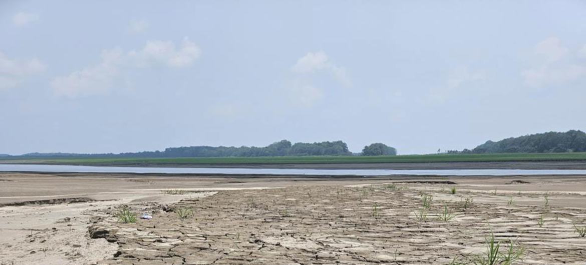 In Tabatinga -Amazonan State- in Brazil on October 2024.