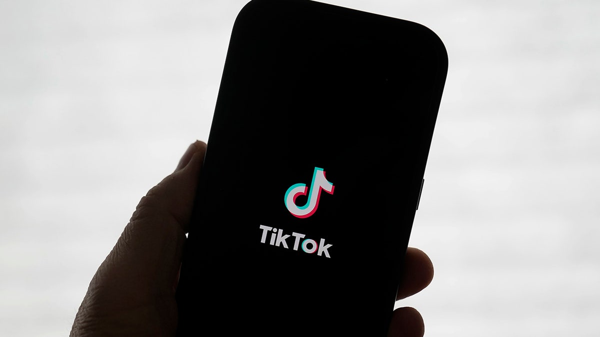 TikTok logo on a phone