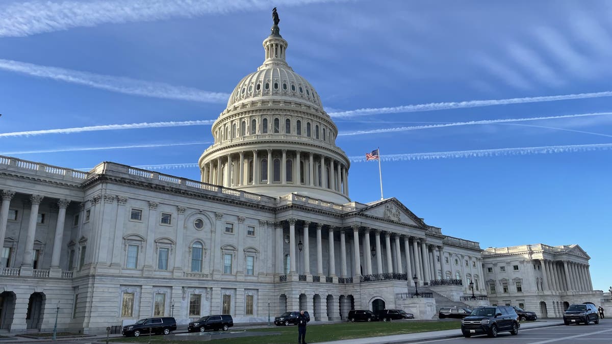 U.S. Capitol, Washington D.C.