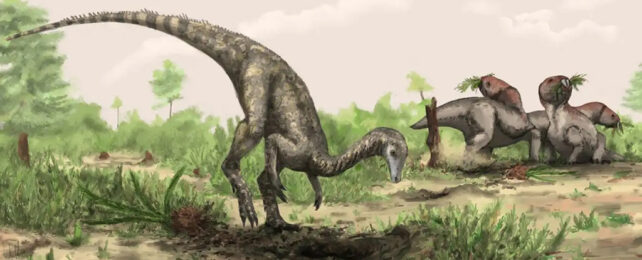 An artist's watercolor illustration of Nyasasaurus, a grey raptor-like dinosaur, in a savannah like environment. two other dinosaurs stand in the right-hand background.