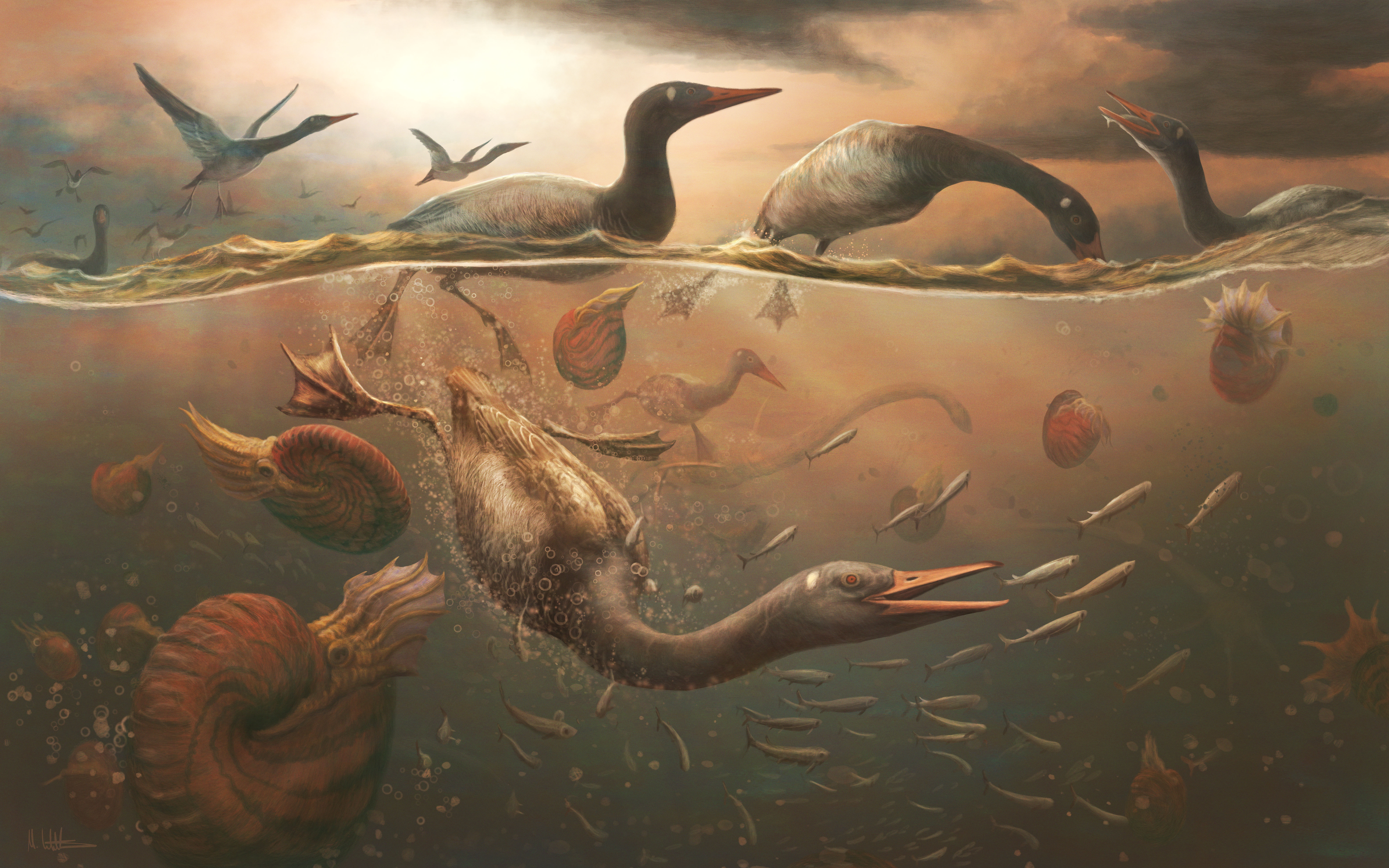 illustration of a brown feathered diving water bird, swimming underwater while ammonites and fish flee. two other birds float above the waterline, and two more are flying in the distance. the sky is brown and hazy.