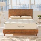 the avocado green mattress in a room with big windows