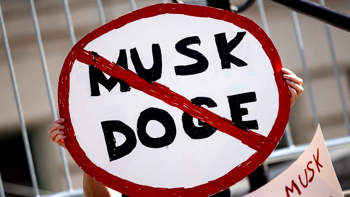 Musk protesters