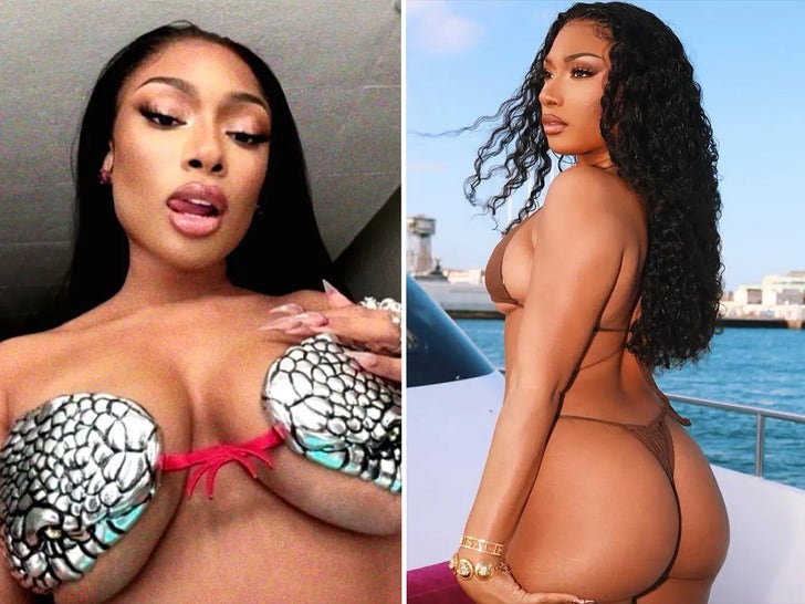 Megan Thee Stallion's Hot Shots