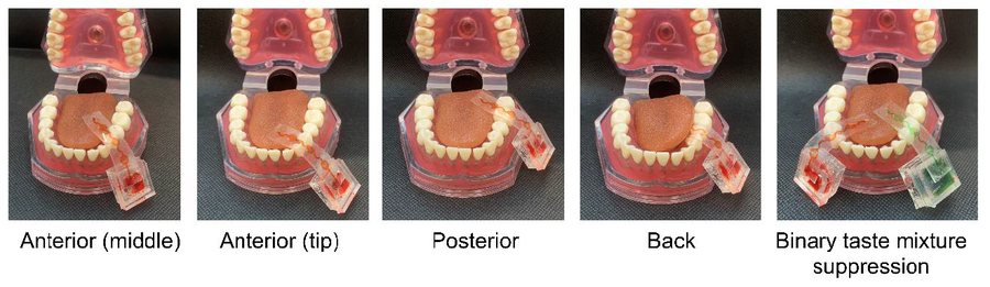 Composition of 6 photos showing a model of a mouth with the electromagnetic actuator as a demonstration of potential uses.