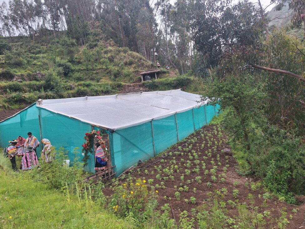 In four municipalities in Cusco, in the Andean highlands of southeastern Peru, greenhouses aim to enhance the agricultural skills of women engaged in family farming, helping them better cope with the climate crisis. Credit: Mariela Jara / IPS 